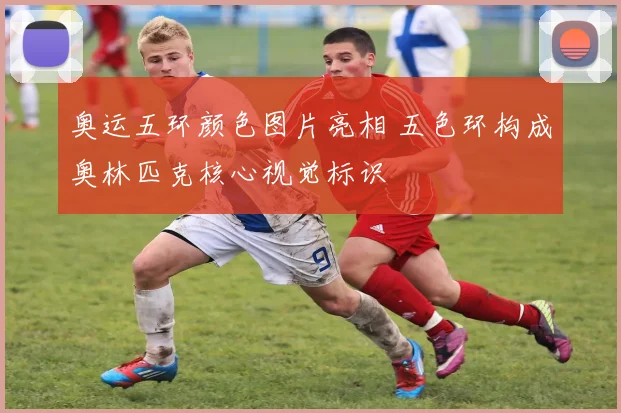 奥运五环颜色图片亮相 五色环构成奥林匹克核心视觉标识
