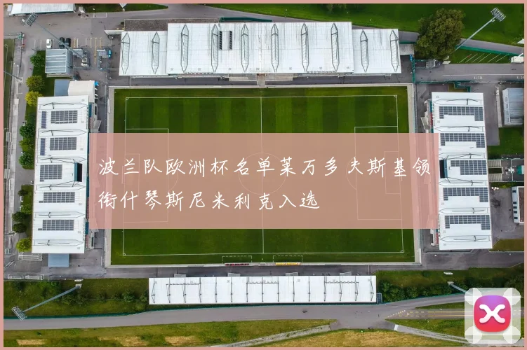 波兰队欧洲杯名单莱万多夫斯基领衔什琴斯尼米利克入选