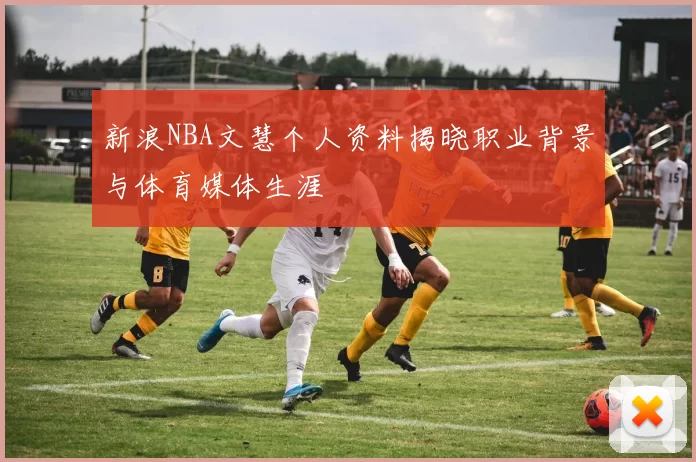 新浪NBA文慧个人资料揭晓职业背景与体育媒体生涯